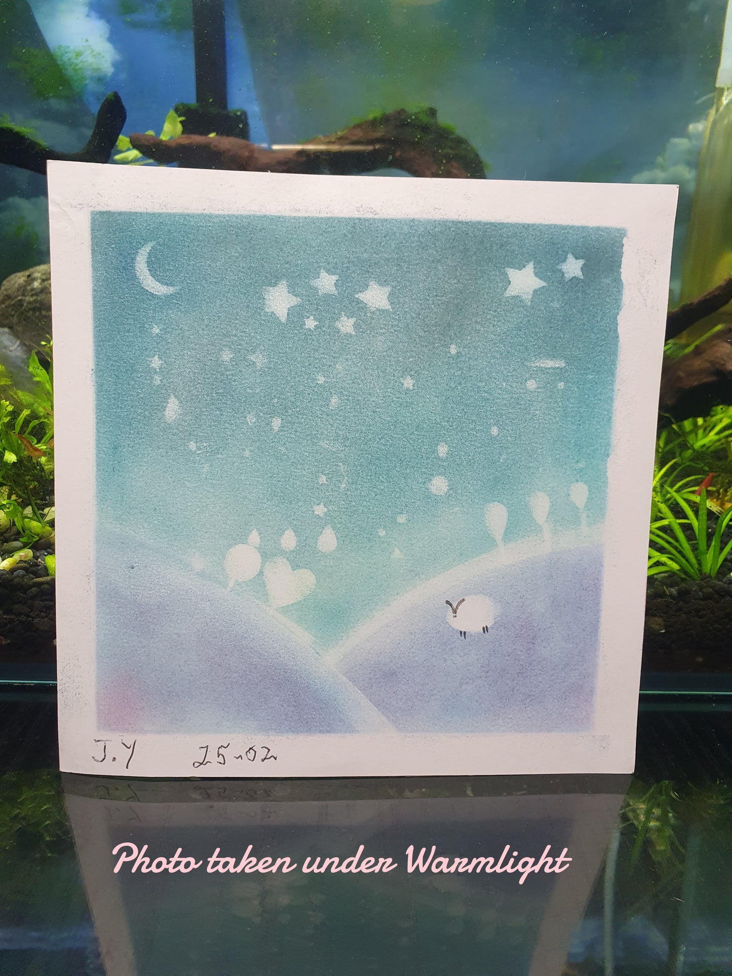 Serene Starry Night @ The Grumpy Old Man