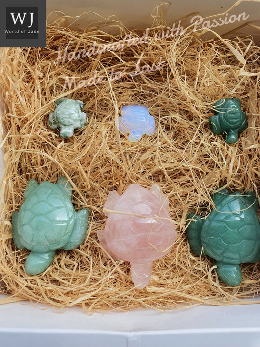 Offer bundle Turtles Miniature Giftbox
