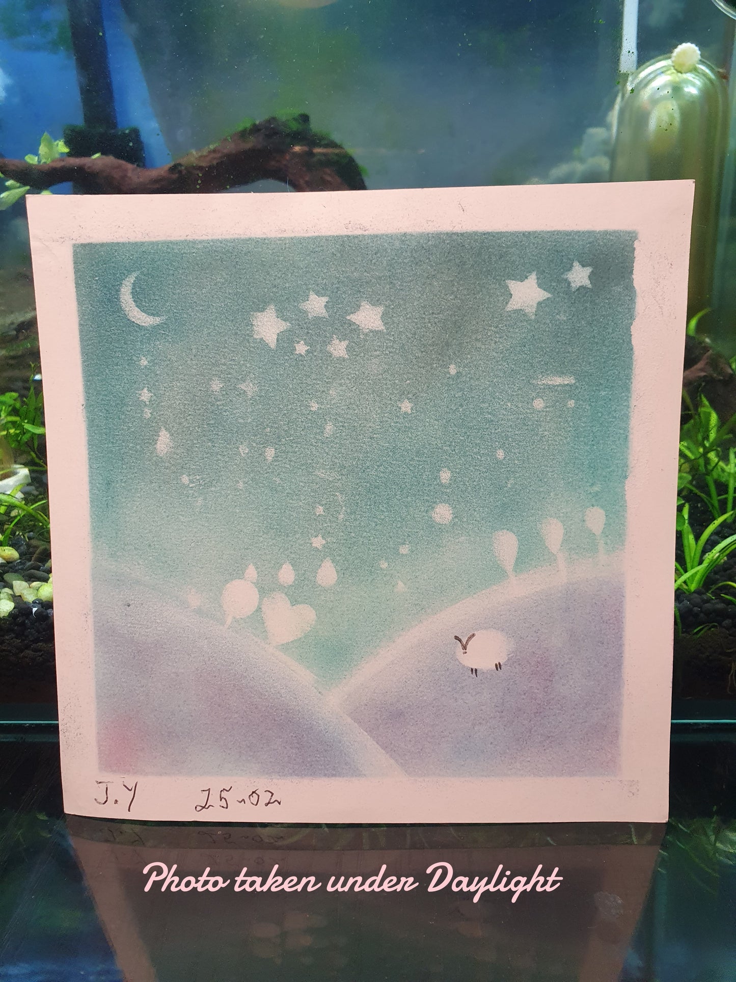 Serene Starry Night @ The Grumpy Old Man