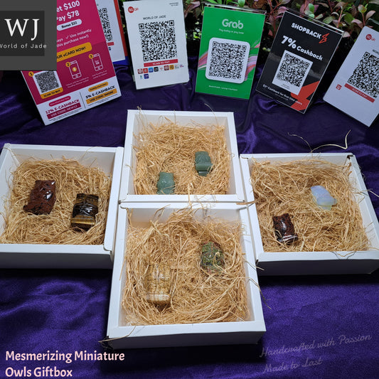 Miniature Owls Giftbox      迷你猫头鹰摆件礼盒