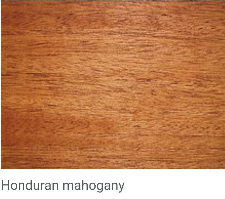 Exquisite Handcrafted Mahogany Wood Collector's Coin Storage Box, Vintage and Elegant, Unique Gifts!